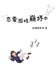 恋爱游戏崩坏中(雄竞NP)
