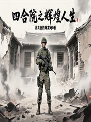 四合院之辉煌人生