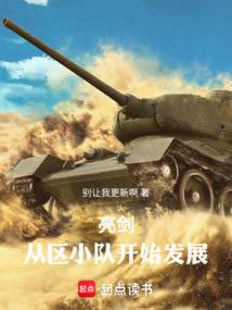 亮剑:从区小队开始发展