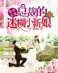 宠妻无度:总裁的迷糊小新娘