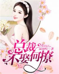 总裁,不娶何撩!