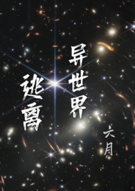 ���������磨��������