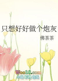 只想好好做个炮灰(穿越)