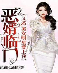 恶婿临门(又名:美女明星爱上我)