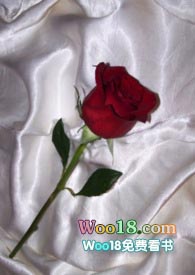 和联姻对象做炮友(1v1 h)