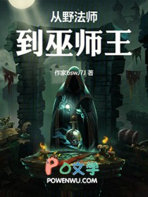 从野法师到巫师王