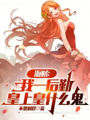 海贼:我一后勤,皇上皇什么鬼