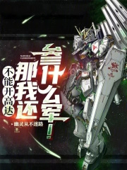 不能开高达那我还参什么军!