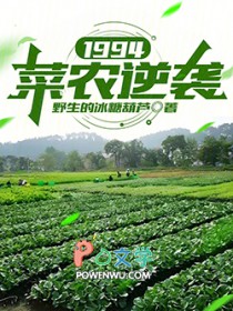 1994:菜农逆袭